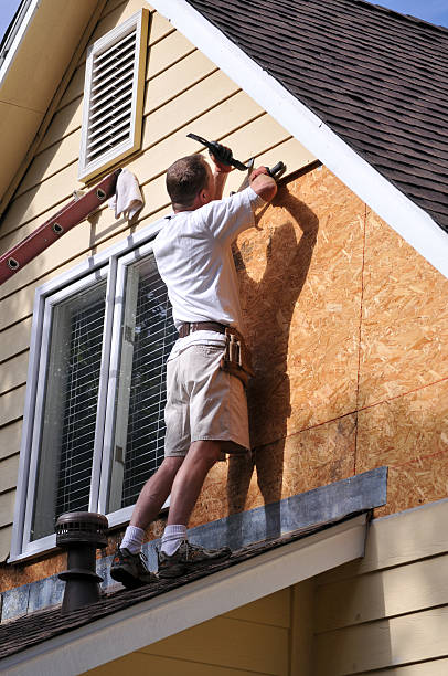 Best Demolition Debris Removal  in Dansville, NY